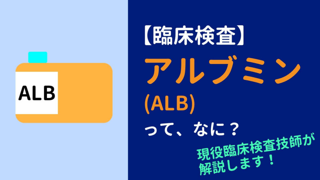 【臨床検査】アルブミン(ALB)について現役臨床検査技師が徹底解説します | ウエノロジーブログ
