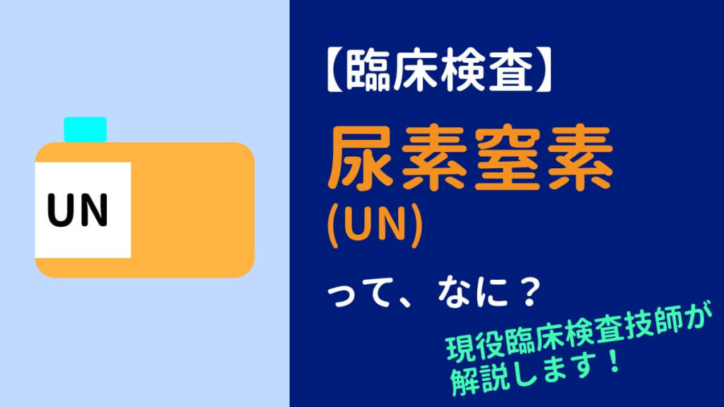 尿尿素窒素検査の目的